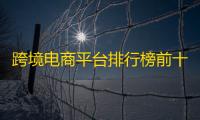 跨境电商平台排行榜前十名（含全球综合型与区域强势平台）